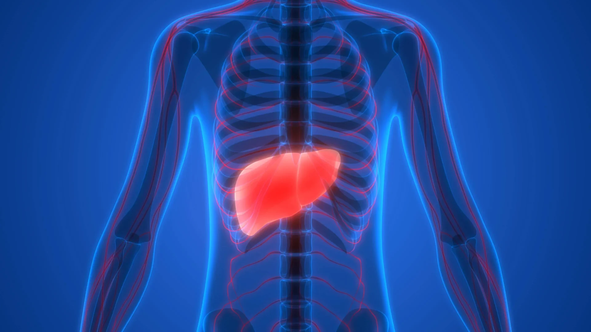 these-care-tips-improve-health-of-your-liver
