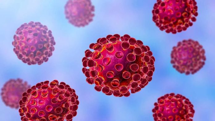 Seven types of coronavirus already exist in the world